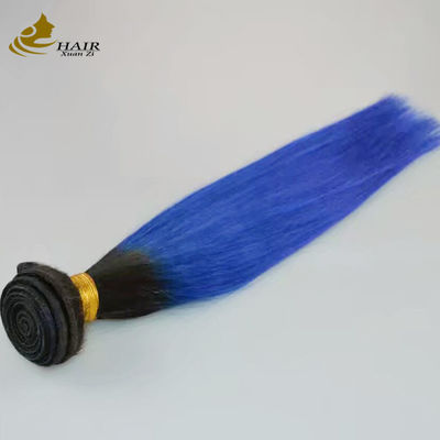 মেয়ে কাঁচা ব্রাজিলিয়ান Ombre মানব চুল এক্সটেনশান বান্ডিল নীল 1B